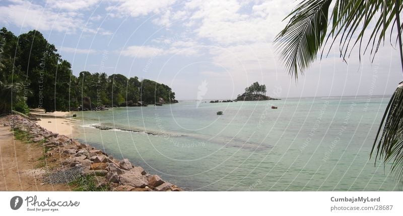 Seychelles Bay Beach Ocean Palm tree Munich Virgin forest Water Summer in the southern hemisphere