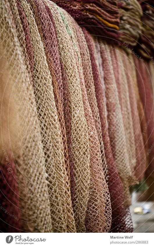 for fishermen a dream in old pink Fishing (Angle) Batumi Georgia Asia Europe Fishing village Net Colour Fishing net Colour photo Detail Shallow depth of field