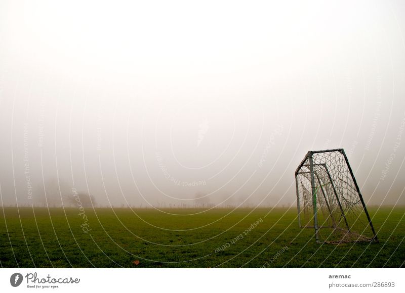 champions league Sports Ball sports Soccer Goal Sporting Complex Football pitch Autumn Bad weather Fog Meadow Colour photo Subdued colour Exterior shot Deserted