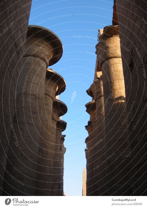 Columns without roof Egypt Temple Hieroglyph Historic