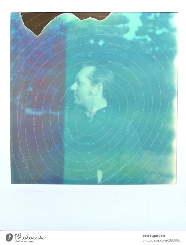 birthday girl. Masculine Young man Youth (Young adults) 1 Human being 30 - 45 years Adults Green Profile Nature Whiskers Colour photo Polaroid Copy Space bottom
