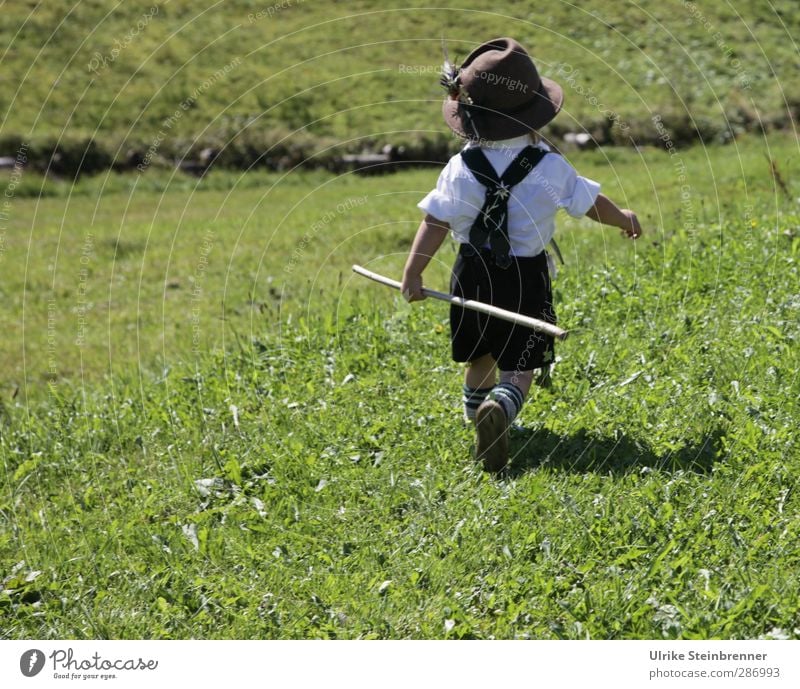 ... into the wide world! Happy Trip Freedom Mountain Hiking Human being Masculine Child Toddler Boy (child) Infancy Life 1 3 - 8 years Grass Meadow Field Hat