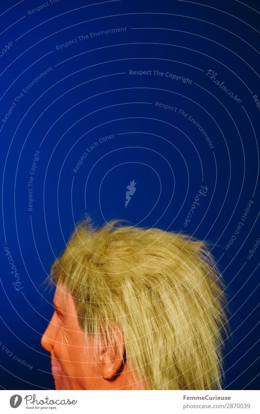 Hairstyle of a well-known politician 1 Human being Politics and state trump Donald donald trump President USA Hair and hairstyles Blonde Orange Head Ear Profile