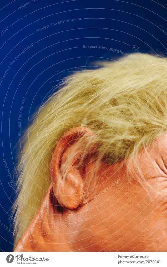 Hairstyle of a well-known politician 1 Human being Politics and state donald trump Donald Politician President USA Hair and hairstyles Ear Face Orange Blue