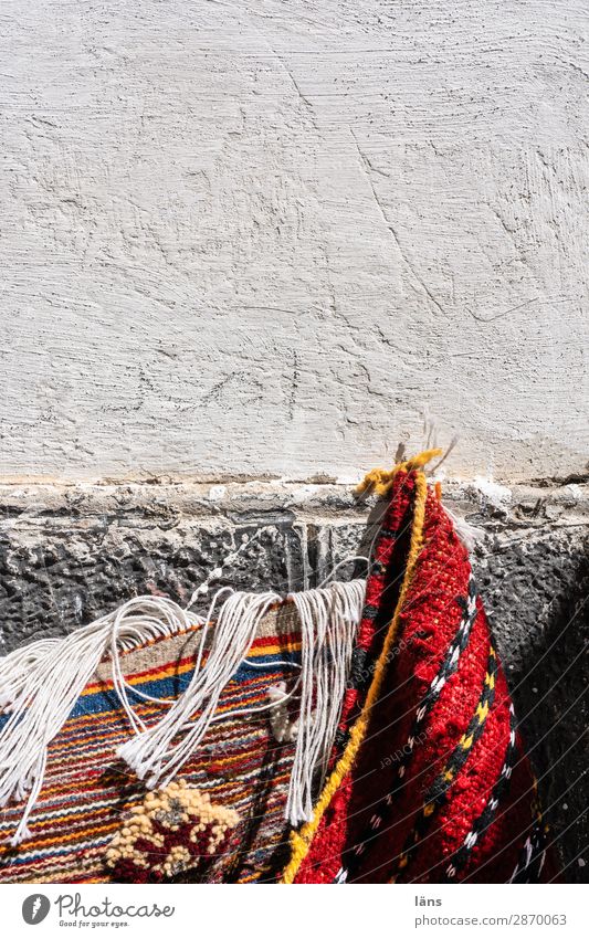 Berber carpets Essaouira Africa Wall (barrier) Wall (building) Facade Hang Authentic naturally Identity Uniqueness Network Quality Carpet Morocco Colour photo