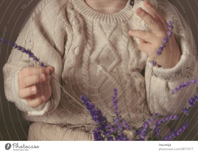 Lavender scent tickles the nose Human being Child Toddler Girl Boy (child) Infancy Life 1 1 - 3 years 3 - 8 years Fashion Clothing Sweater Knitting pattern