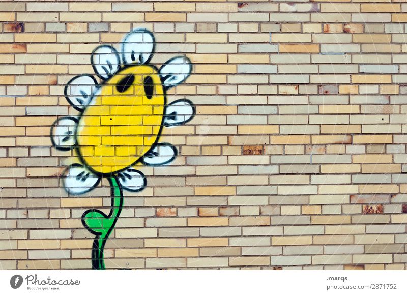 sunflower Flower Wall (barrier) Wall (building) Graffiti Funny Climate Nature Exterior shot Copy Space left Copy Space top Copy Space bottom Copy Space middle