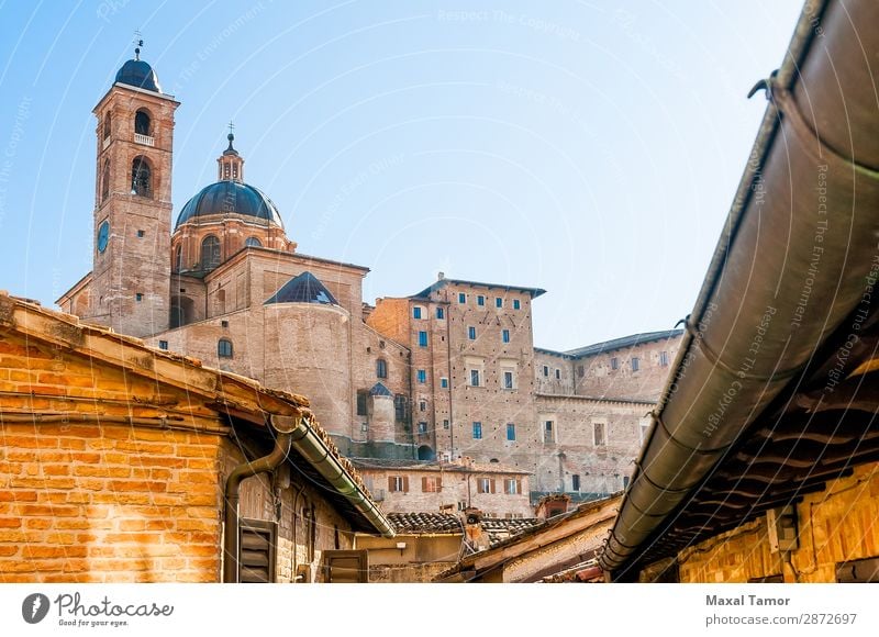 Cathedral of Urbino Vacation & Travel Tourism House (Residential Structure) Academic studies Culture Landscape Town Church Palace Building Architecture Monument