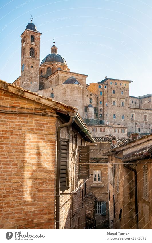 Cathedral of Urbino Vacation & Travel Tourism Academic studies Culture Landscape Town Church Palace Building Architecture Monument Stone Old Historic White