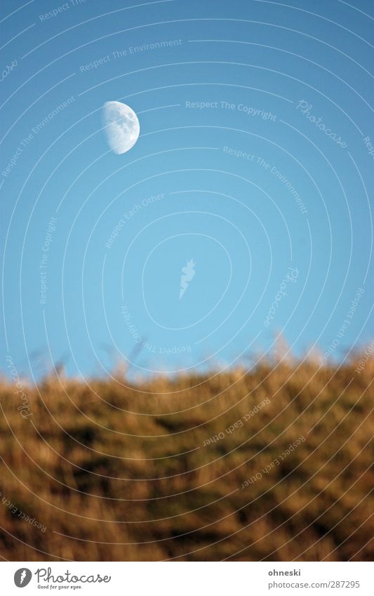 Happy Birthday Photocase The Moon Elements Air Sky Cloudless sky Grass Calm Longing Loneliness Eternity Moody Universe Future Colour photo Exterior shot