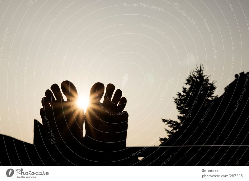 HAPPY BIRTHDAY PHOTOCASE Harmonious Well-being Contentment Relaxation Calm Human being Feet Toes 1 Sky Cloudless sky Tree House (Residential Structure)