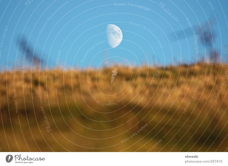 Star Trek Air Sky Cloudless sky Moon Grass Hill Loneliness Far-off places Future Astronomy Astrology Colour photo Exterior shot Deserted Copy Space left