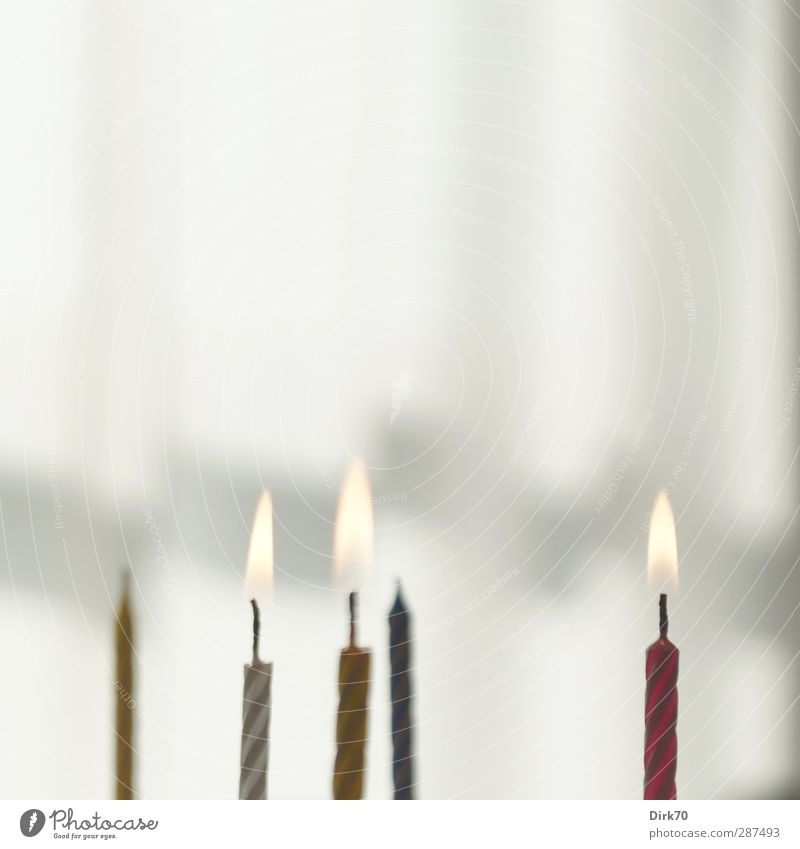 Five candles, Photocase for the eleventh ... all the best ! Cake Birthday cake Joy Living or residing Flat (apartment) Drape Feasts & Celebrations Eating Party