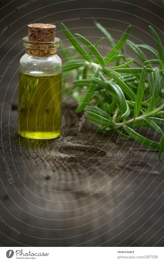 cooking oil Rosemary Herbs and spices Spicy Twig Leaf Ingredients Glass Cooking oil Wood Wooden board Wooden table Healthy Eating Dish Food Nutrition