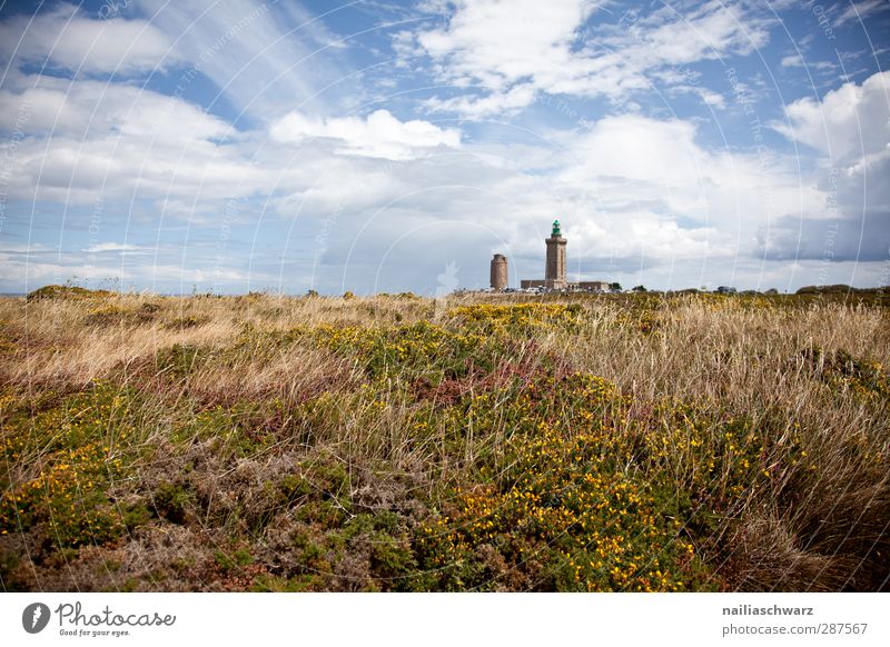Cap Fréhel Environment Nature Landscape Plant Sky Summer Beautiful weather Flower Grass Field Lakeside Bay Tower Lighthouse Architecture light tower Fragrance