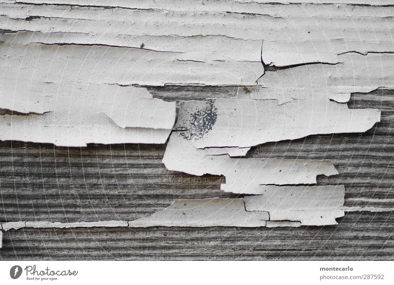 Call. Window frame Wood Painting (action, work) Old Dirty Thin Broken Natural Gloomy Dry Gray White Decline Transience Colour photo Exterior shot Close-up