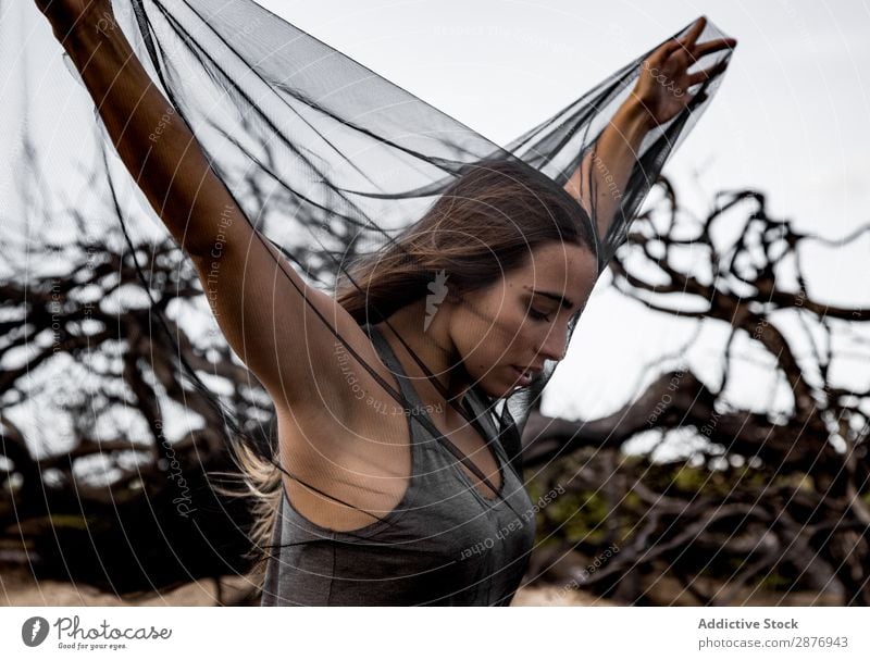 Woman posing on twigs of dry trees Ballerina Posture Tree Twig Mysterious reborn murk Wear Wood Branch stretched out Legs Youth (Young adults) Gray Dry