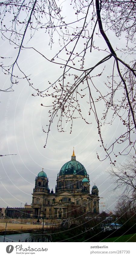 Berlin Cathedral Environment Sky Autumn Winter Climate Climate change Weather Bad weather Tree Town Capital city House (Residential Structure) Church Dome