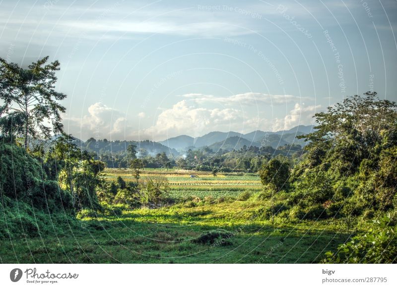landscape Environment Nature Landscape Plant Sky Clouds Summer Beautiful weather Warmth Tree Grass Virgin forest Hill Thailand HDR Chiang Rai Colour photo