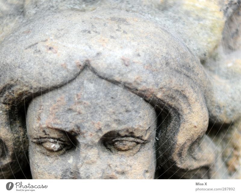 stone maiden Human being Head Face 1 Art Sculpture Stone Old Historic Gray Decline Transience Figure Statue Eyes Black & white photo Subdued colour Close-up