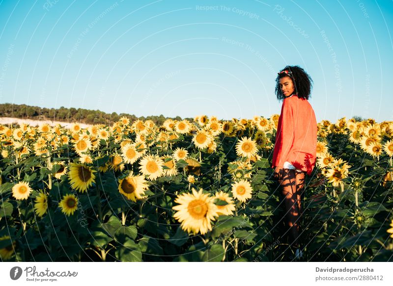 Happy young black woman walking in a sunflower field Woman Sunflower Meadow Ethnic Flower Black African Agriculture Smiling Yellow Cute Summer Sky Plantation