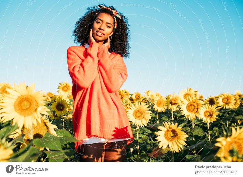 Happy young black woman walking in a sunflower field Woman Sunflower Meadow Ethnic Flower Black African Agriculture Smiling Yellow Cute Summer Sky Plantation