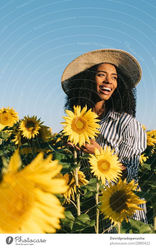 Happy young black woman in a sunflower field Woman Sunflower Field Ethnic Black Curly African mixed-race Cute Youth (Young adults) Smiling sunflowers