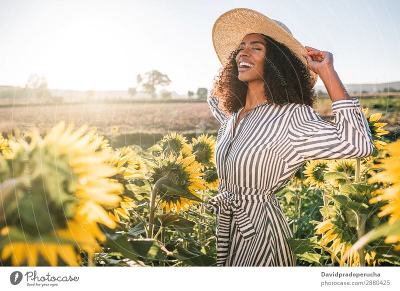 Happy young black woman in a sunflower field Woman Sunflower Field Ethnic Black Curly African mixed-race Cute Youth (Young adults) Smiling sunflowers