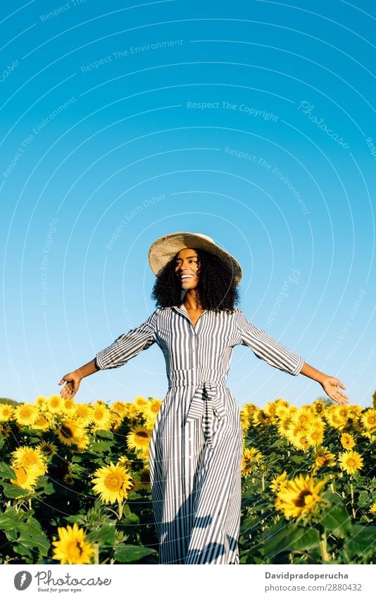 Happy young black woman walking in a sunflower field Woman Sunflower Field Ethnic Black Curly African mixed-race Cute Youth (Young adults) Smiling sunflowers