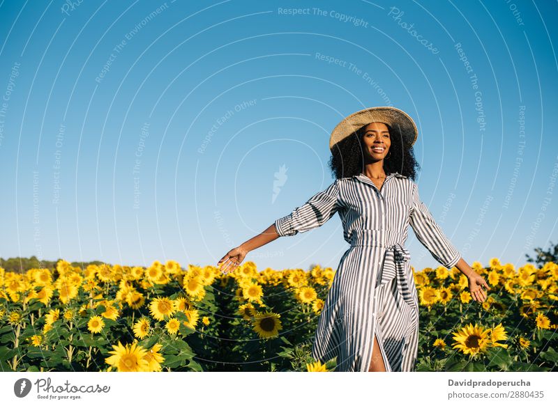 Happy young black woman walking in a sunflower field Woman sunflowers Yellow Ethnic Beautiful Cute Summer Meadow Sky African Plantation Floral Agriculture