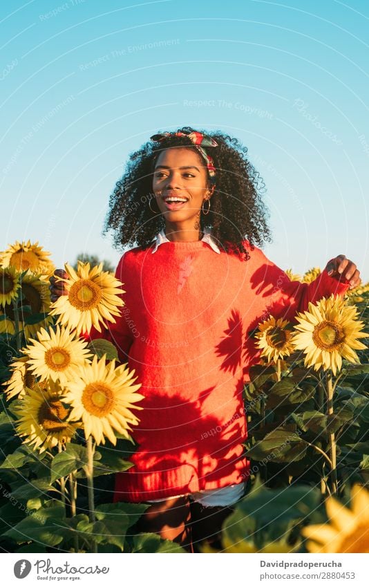 Happy young black woman walking in a sunflower field Agriculture Yellow Cute Summer Meadow African Sky Plantation Floral Bright Youth (Young adults) Ethnic