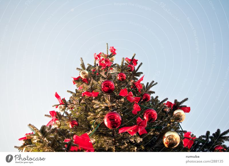 Christmas Sign Feasts & Celebrations Beautiful Joy Christmas tree Glitter Ball Embellish Sphere Red Green Blue Heaven Fir tree Glittering