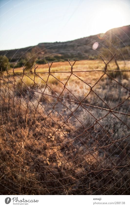 summer Environment Nature Landscape Summer Beautiful weather Warmth Meadow Field Natural Fence Wire netting fence Colour photo Exterior shot Detail Deserted Day