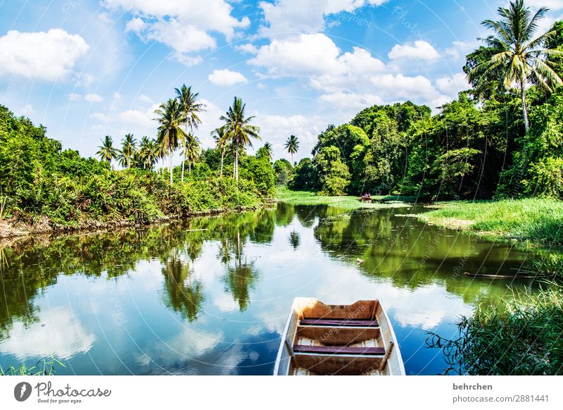chill times Gorgeous Deserted Rowboat Vacation & Travel Tourism Trip Clouds Sky Landscape Nature Freedom Far-off places Adventure Tree Bushes Virgin forest