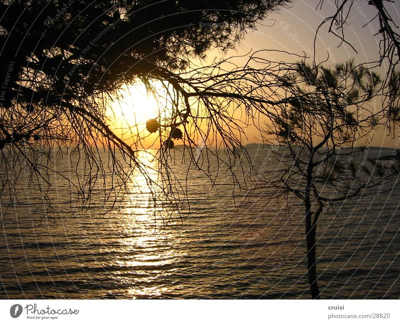 sun Sunset Ocean Horizon Stone pine Water