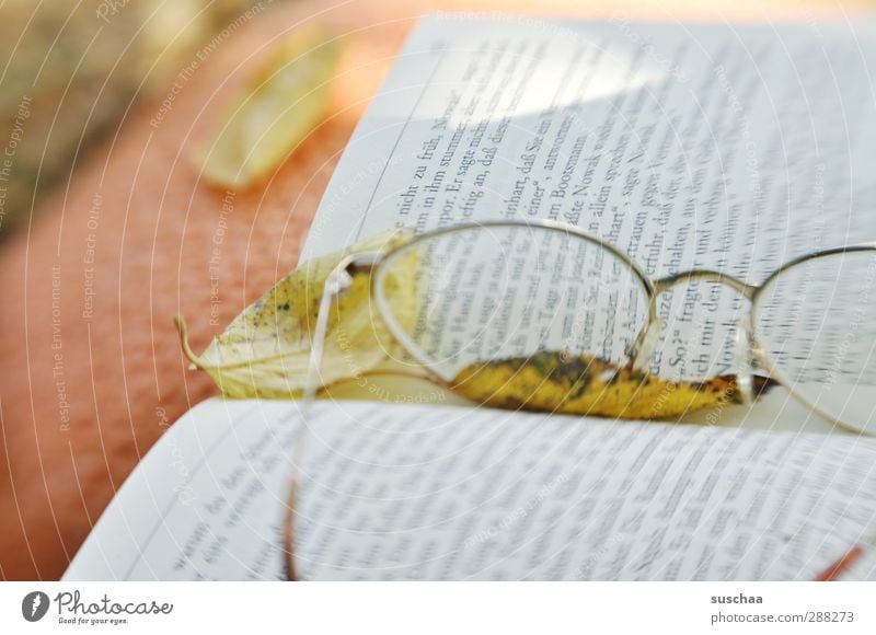 Reading time II Environment Nature Autumn Contentment Caution Calm Idyll Book Text lines sentences Eyeglasses leaves Cushion ophthalmic lens Colour photo