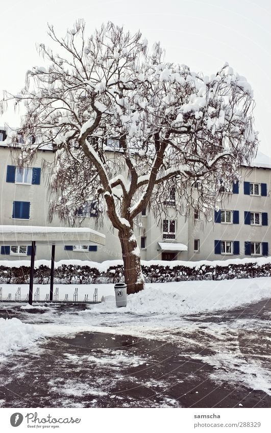 winter II House (Residential Structure) Environment Nature Plant Winter Ice Frost Snow Tree Town Building Freeze Living or residing Cold White Winter mood