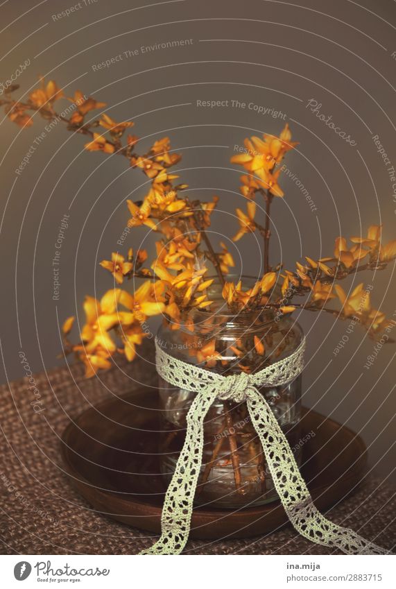 forsythia bouquet Environment Nature Plant Spring Decoration Bouquet Bow Kitsch Odds and ends Wood Glass String Knot Fragrance Esthetic Colour Peace Belief