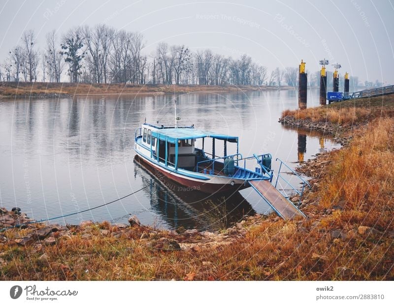 Shortly before Wittenberg Environment Nature Landscape Plant Water Sky Horizon Autumn Tree Grass Bushes River bank Elbe Saxony-Anhalt Germany Means of transport