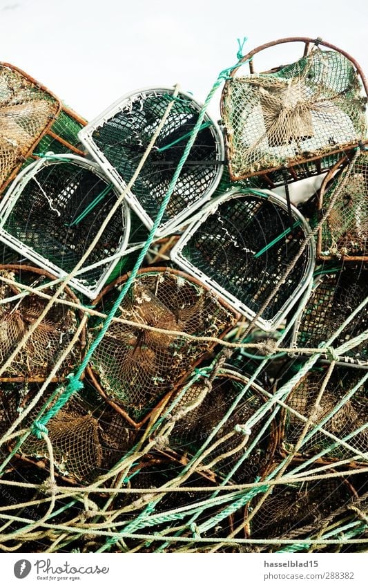 harbour edge Leisure and hobbies Fishing (Angle) Dirty Rust Fish trap fishing Fishery Harbour Eel Rope Net Green Relaxation Past Fisherman Angler Equipment