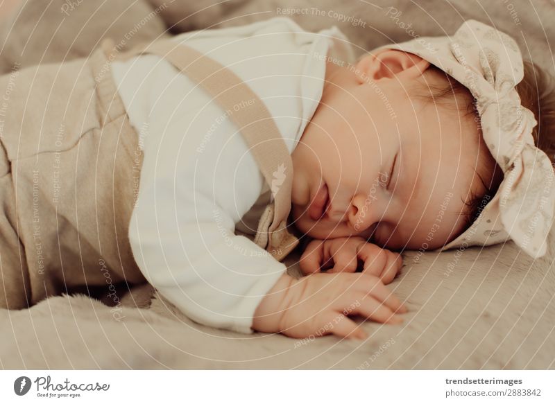 Portrait of a newborn baby sleeping Beautiful Face Life Child Baby Infancy Sleep Dream Small Natural New Cute Soft White Innocent Newborn blanket Caucasian kid