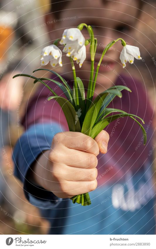 spring greeting Child Arm Hand 1 Human being Spring Flower Blossom Garden Park Forest Utilize To hold on Looking Stand Happiness Fresh Joy Contentment