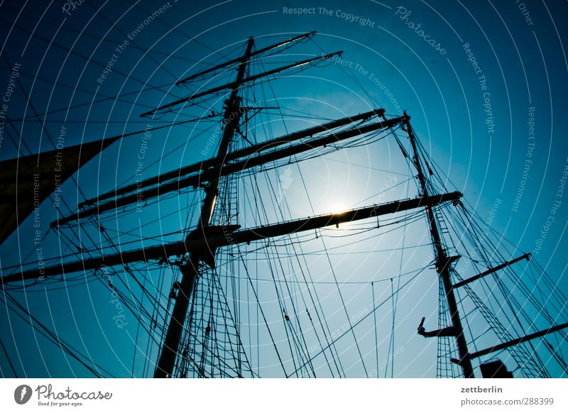 sail Environment Nature Landscape Sky Cloudless sky Summer Climate Climate change Weather Beautiful weather Navigation Cruise Yacht Sailing ship Rope Joy Happy
