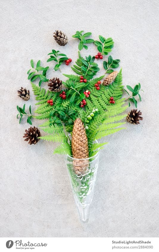 Glass cone with wild forest plants and berries Fruit Design Summer Nature Plant Leaf Forest Bouquet Stone Concrete Modern Natural Wild Gray Green Red Colour