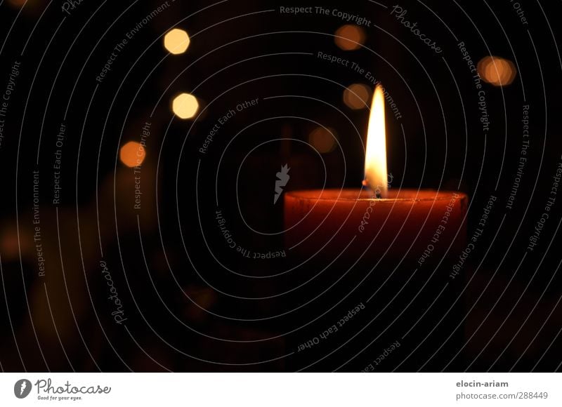 candle Candle Fragrance Illuminate Bright Beautiful Warmth Emotions Contentment Hope Loneliness Death Grief Transience Christmas wreath Colour photo