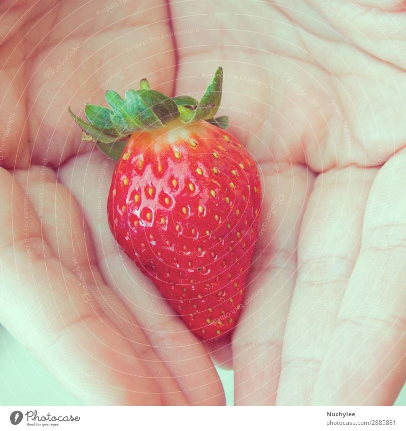 one fresh strawberry in hands Fruit Dessert Eating Summer Human being Hand Nature Plant Leaf Fresh Retro Juicy Red White Colour agricultural agriculture Berries