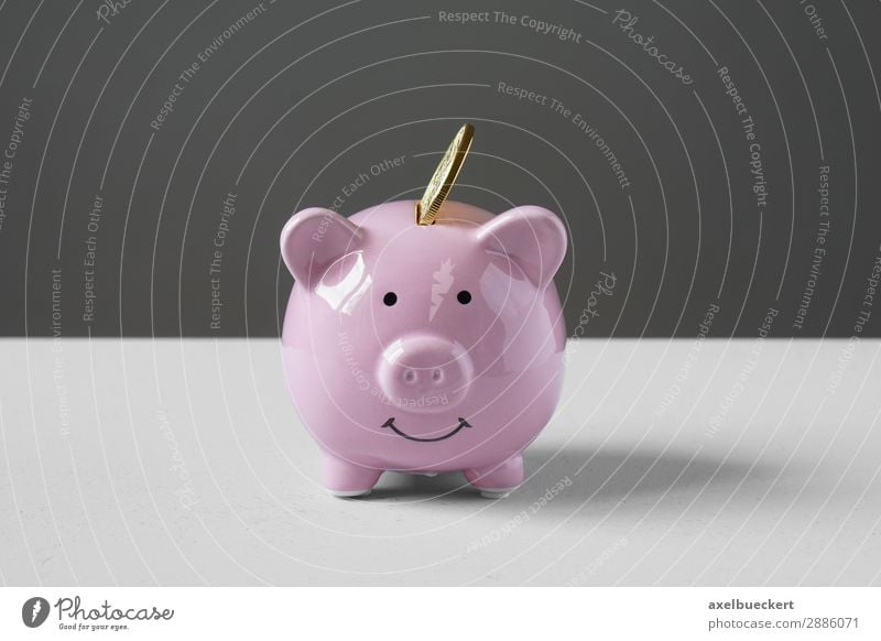 Piggy bank with coin Financial Industry Financial institution Business Pink Money box Save Coin Swine Colour photo Subdued colour Interior shot Studio shot