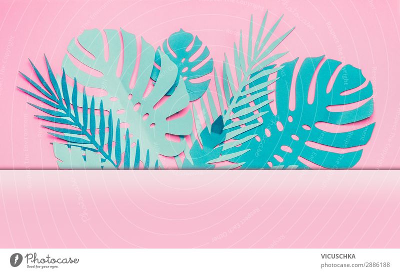 Various tropical leaves frame Shopping Style Design Summer Nature Leaf Decoration Hip & trendy Pink Background picture Conceptual design Turquoise Tropical