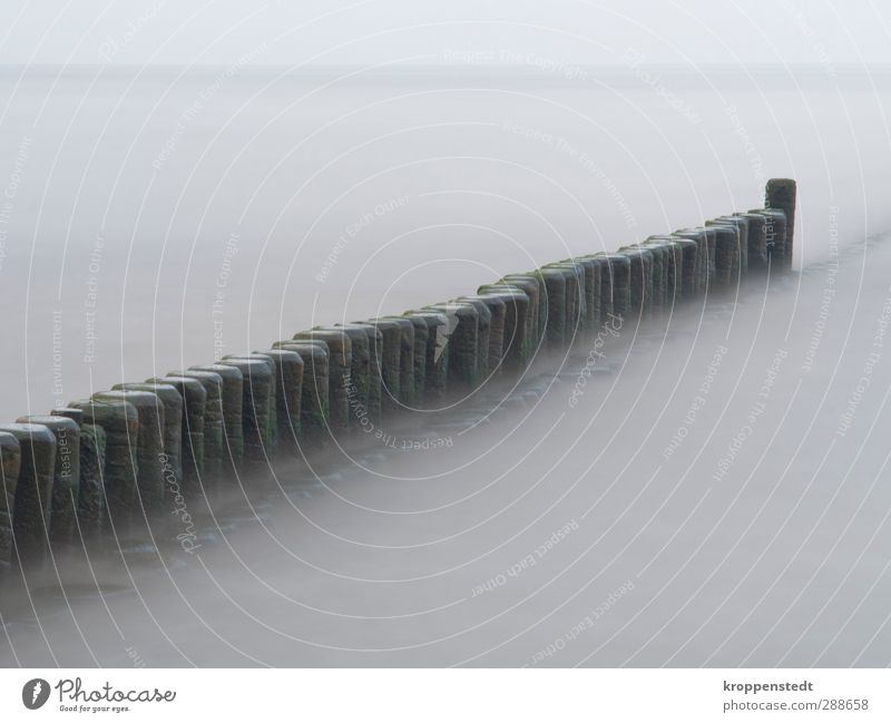 breakwater Nature Landscape Air Water Sky Autumn Waves Coast Baltic Sea Island Usedom Manmade structures Wall (barrier) Wall (building) Wood Infinity Calm Soft
