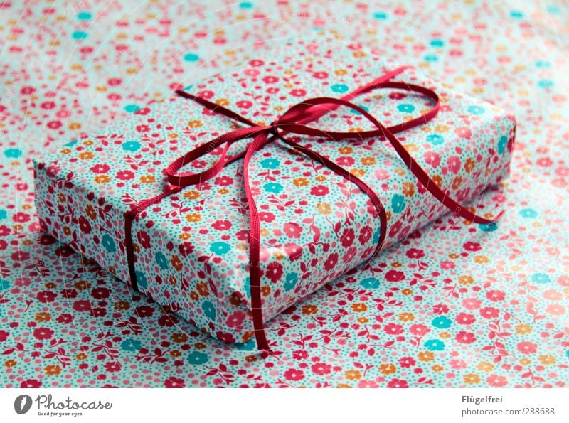 Packaged with summer longing Flower Anticipation Gift Christmas & Advent Birthday Bow Surprise Camouflage disguised Colour photo Multicoloured Interior shot